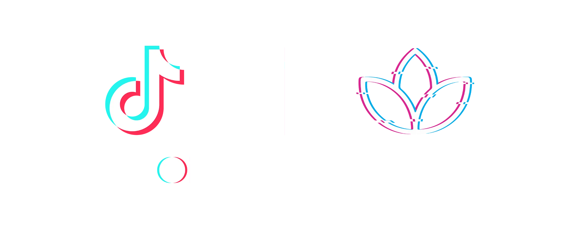 Blossom and Tiktok